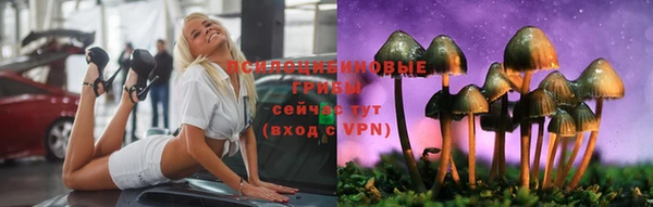 винт Арсеньев