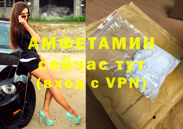 шишки Ельня